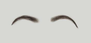 Eyebrows, 100% handknotted